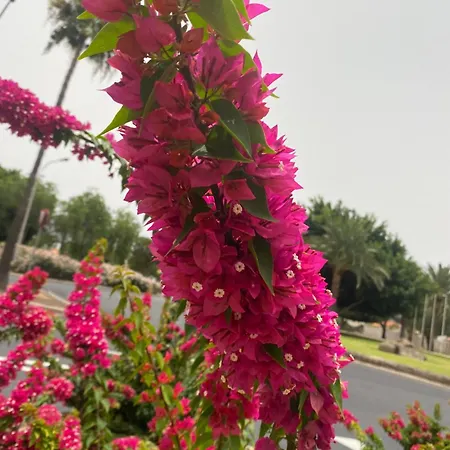 El Rincon De Valentina 4b * Las Palmas de Gran Canaria